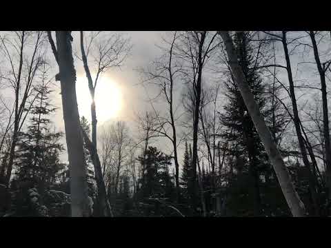ASMR walking snow Canadian forest sounds :)