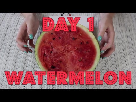 Busy Week ASMR: Quick Super Close-Up Tingles | Day 1, Tapping the watermelon | Binaural HD ASMR