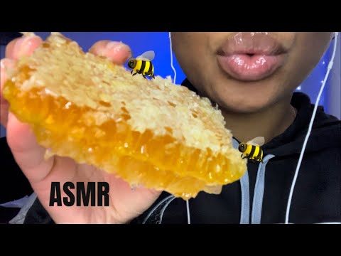 ASMR | Eating Raw Honey Comb 🍯