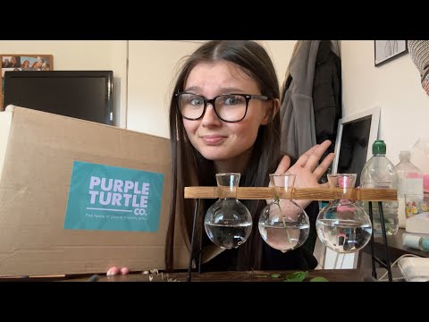 ASMRtist Tries Plant Propagation (I’m not good at this)