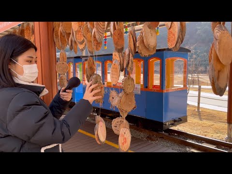 ASMR In The KOREA Rail Bike 👻 / Outdoor / Tapping , Scratching