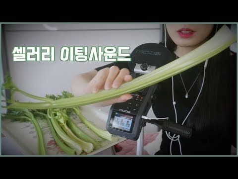 ASMR 아삭아삭! 소리가 좋은 셀러리 이팅사운드! | 사실은 그냥 먹고 싶어서 찍어본 영상..ㅋㅋ | Celery Eating sounds