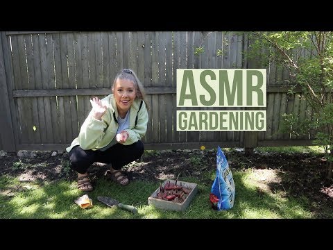 gardening ASMR 🌿🌻🌱🌷