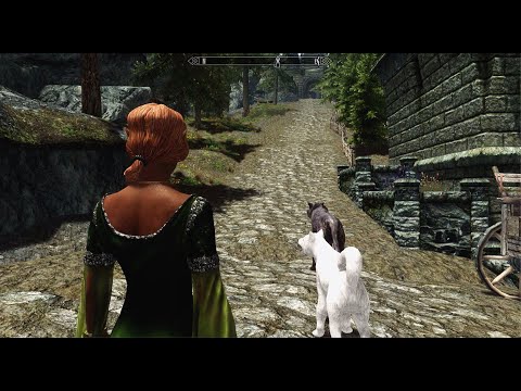 ASMR: TES V Skyrim - Crashing the Snootiest Party in the Lands