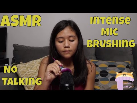 ASMR Intense Mic Brushing | No Talking