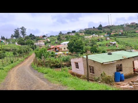 Outdoors ASMR Nature in Africa (Outdoors Chitchatting): Invasive Plants In My Village🪴