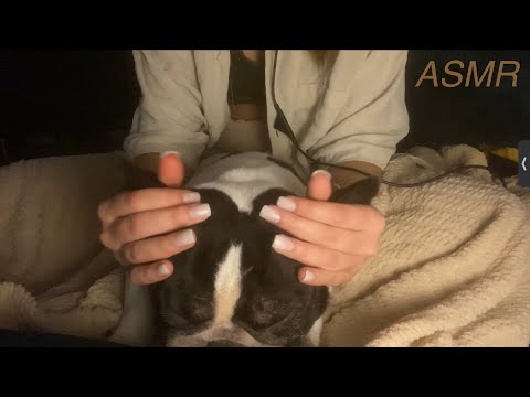 asmr on my sleepy doggy | fur scratching | petting | doggy snores