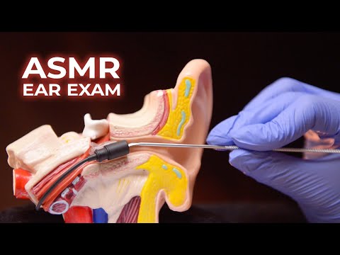 ASMR Inner Ear Exam (No Talking)