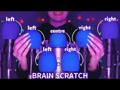 ASMR Mic Scratching - Brain Scratching with 7 MICS🎤| No Talking for Sleep with Long Nails 1H - 4K