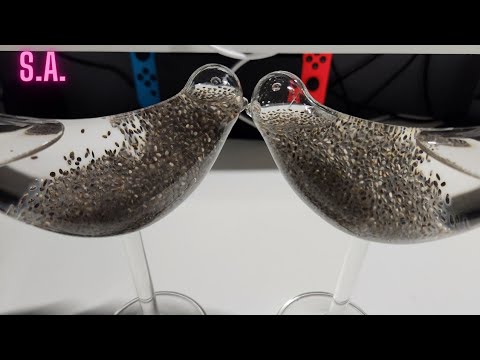 Asmr | Drinking Water With Chia Seeds in Bird Glass
