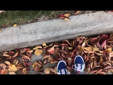 asmr walking ft. my doggo and some crunchy leaves