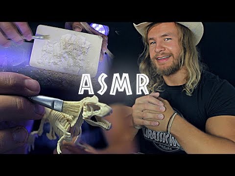 Welcome, To Jurassic ASMR