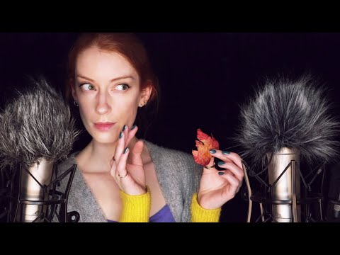 Autumn / Fall Triggers Show & Tell 🍂 Whispered ASMR 🍃