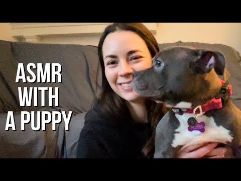 ASMR With My New Puppy 🐶🐾