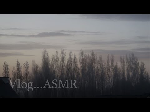 Vlog ASMR | Un dimanche tranquille