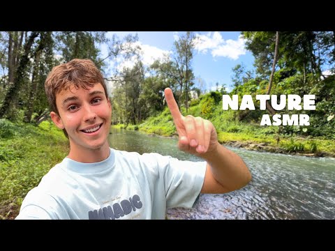 ASMR in Nature 🐛🐝 (wet, water sounds, crunching leaves, rock tapping + more)