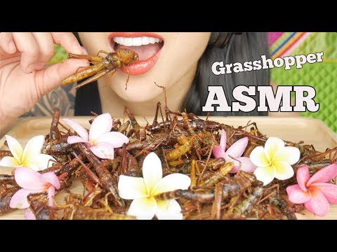 ASMR FRIED GRASSHOPPER ตั๊กแตนทอด (CRUNCHY EATING SOUNDS) SAVAGE EXOTIC FOOD | SAS-ASMR