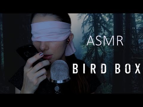 ASMR BIRD BOX