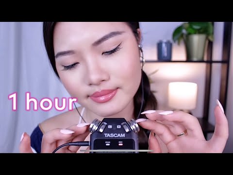 ASMR | Addictive TASCAM Triggers ~ Mic Tapping, Scratching, Nails Rubbing, Sticky Fingers