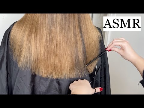 ASMR | ✂️ Haircut, hair brushing/combing & scratching sounds (no talking)