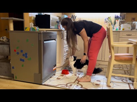 Barefoot Cleaning in the Middle of the Night 2023 (What's at the end of the video?)