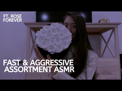 ASMR | Fast and Aggressive Assortment ft. Rose Forever