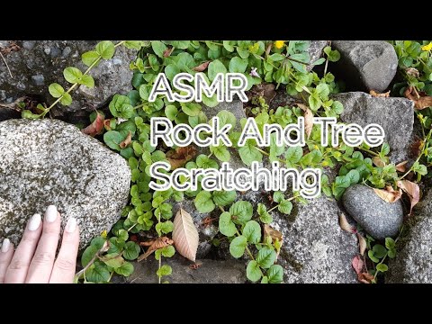 ASMR Tree And Rock Scratching (Lo-fi)