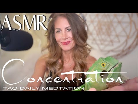 ASMR ☯️Tao Daily Meditation: DAY 101 ✨ CONCENTRATION