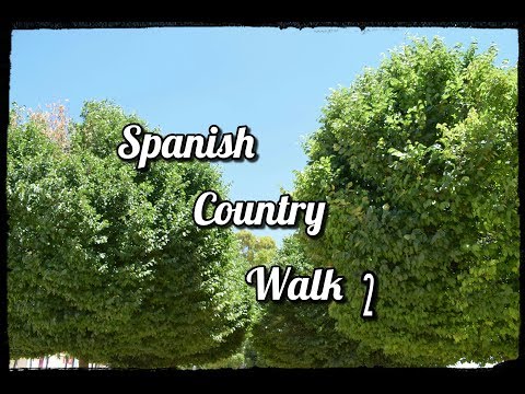 ASMR NATURE SOUNDS: Spanish Country Walk 2 🕊️🌲 | Ambient Wind/Birds/Footsteps for Relaxation