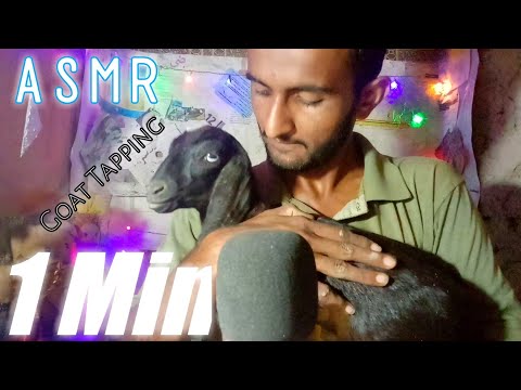 ASMR 1 Minute | Plastic Goat 🐐