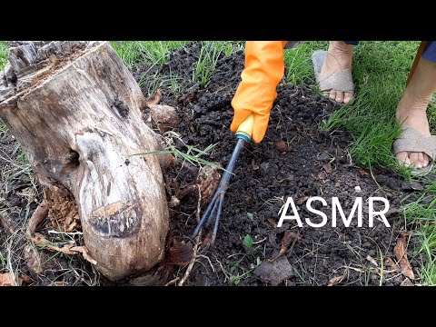 ASMR - Digging Soil Sound (Nature Sound)
