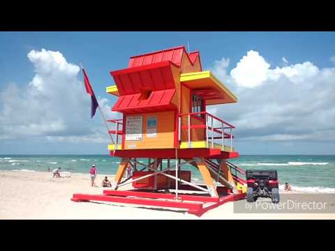 Vlog viagem EUA 03: Florida | ASMR Português