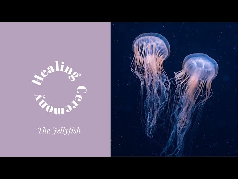 Healing Ceremony: The Jellyfish Guide