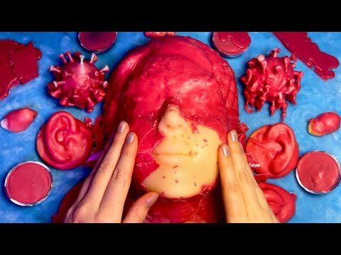 ASMR Wax Cracking on Mannequin, Squishies, Ears (Whispered)