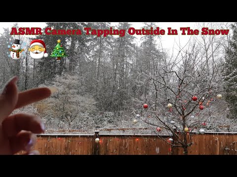ASMR Camera Tapping In The Snow