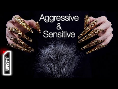 [ASMR]繊細かつ積極的にヘッドマッサージ -  Aggressive and Sensitive Head Massage(No Talking)