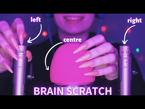 Asmr Mic Scratching - Brain Scratching | Hypnotic Asmr No Talking for Sleep with Long Nails 1H