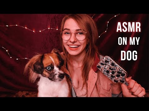 ASMR | Entspanntes ASMR mit meinem Hund (deutsch) | Bürsten, Massage.. | Soph Stardust