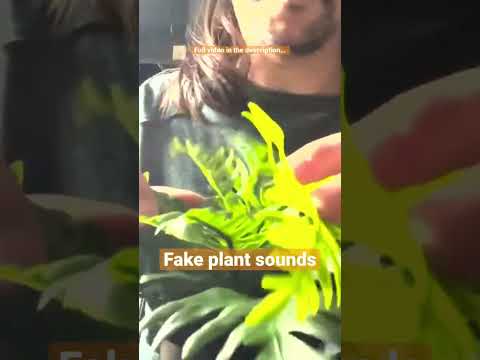 ASMR | Fake plant sounds #asmr #relax #sleep