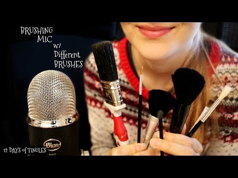 12 Days of Tingles - Day 10: Mic Brushing w/ Different Brushes