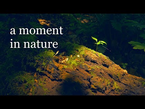 A moment in nature