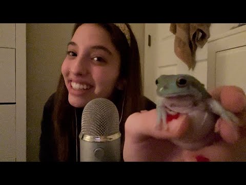 ASMR Meet My Frog 🐸 (✨rosemary ✨)