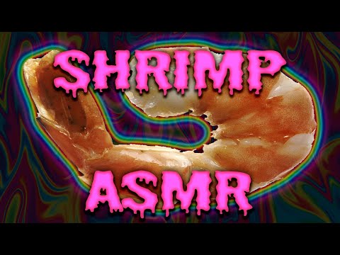 🍤SHRIMP VIBES 🍤 Binaural ASMR Triggers + Tapping Sounds | Relaxing Shrimp Vibrations