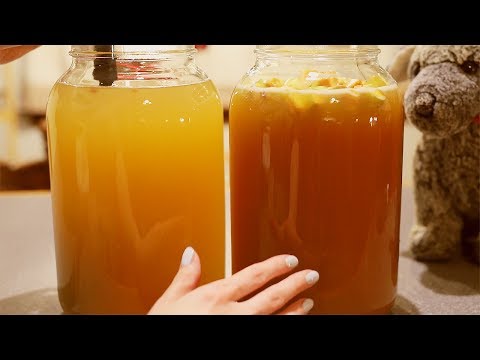 ASMR Making Mead and Apple Cyser 🍯