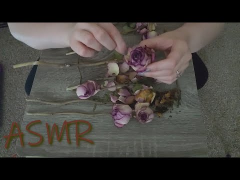 ASMR | Relaxing Destruction, pulling apart dried roses