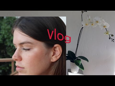 The in between moments of life (vlog style)
