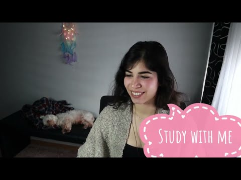 6 HOUR STUDY WITH ME | background noise, keyboard typing, whispering, no music