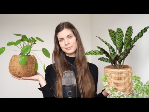 ASMR | Planten 🌿 Show & Tell - Triggers (Vlaams zacht gesproken - deel 2)