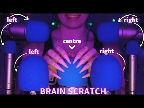 Asmr Mic Scratching - Brain Scratching with 7 Mics | Asmr No Talking for Sleep with Long Nails 1H