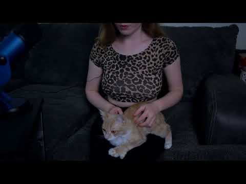 ASMR Kitten Massage | Relaxing Purring
